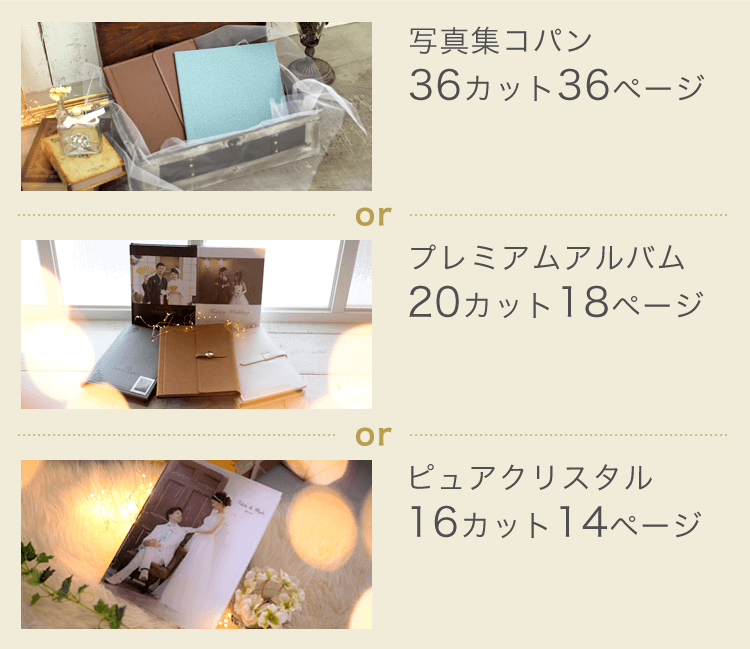 「写真集コパン（36カット、36ページ）」or「プレミアムアルバム（20カット、18ページ）」or「ピュアクリスタル（16カット、14ページ）」