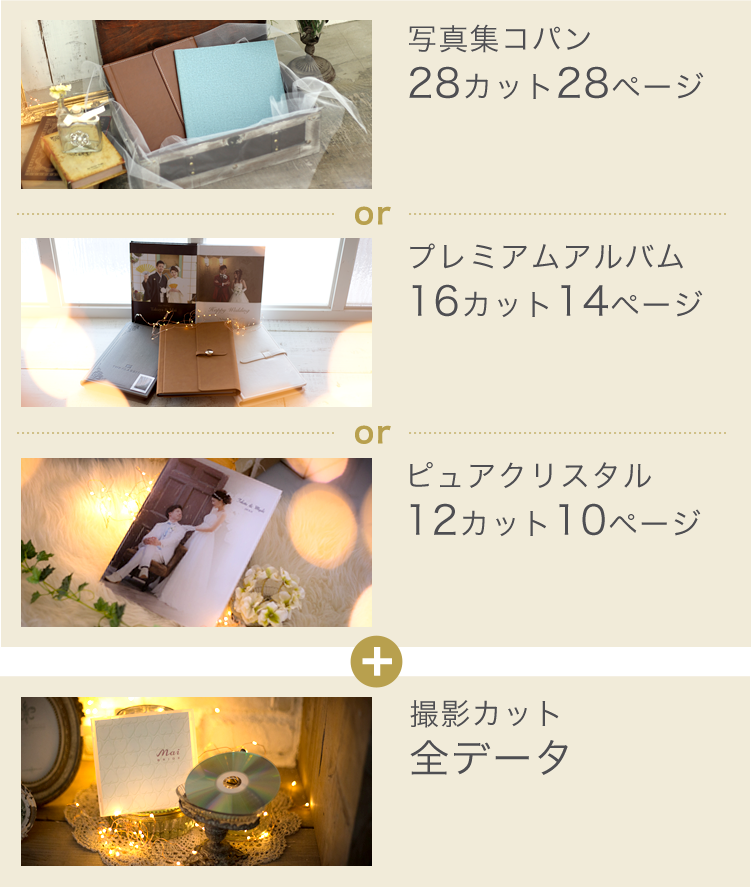 「写真集コパン（28カット、28ページ）」or「プレミアムアルバム（16カット、14ページ）」or「ピュアクリスタル（12カット、10ページ）+撮影カット全データ」