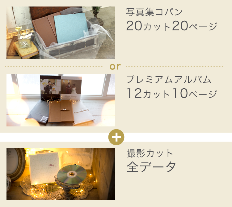 「写真集コパン（20カット、20ページ）」or「プレミアムアルバム（12カット、10ページ）+撮影カット全データ」