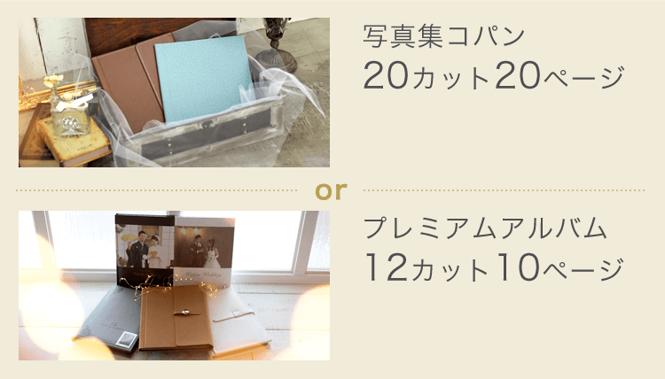 「写真集コパン（20カット、20ページ）」or「プレミアムアルバム（12カット、10ページ）」