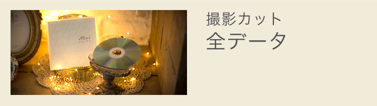「撮影カット全データ」