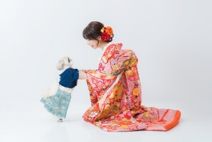 ペット撮影のイメージ